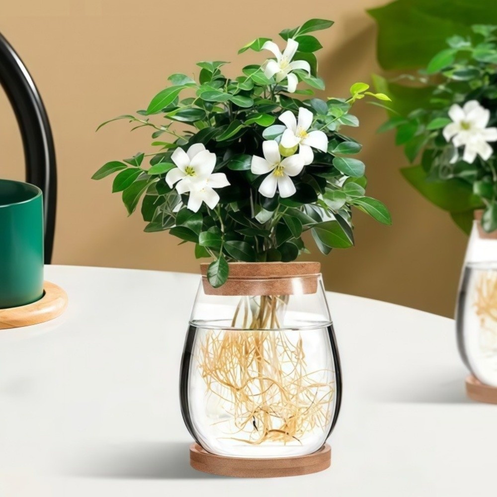 透明な水耕栽培用植木鉢、木製トレイ付きガラス製植物繁殖ステー - Propagation Station Vase のレビューと価格