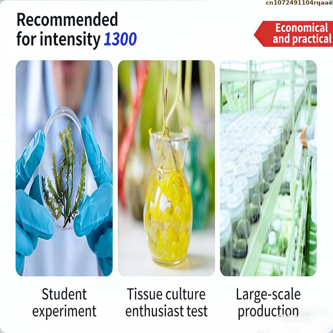 プレミアム植物組織培養寒天粉末 高ゲル強度 マイクロプロパゲ - Agar Tissue Culture のレビューと価格