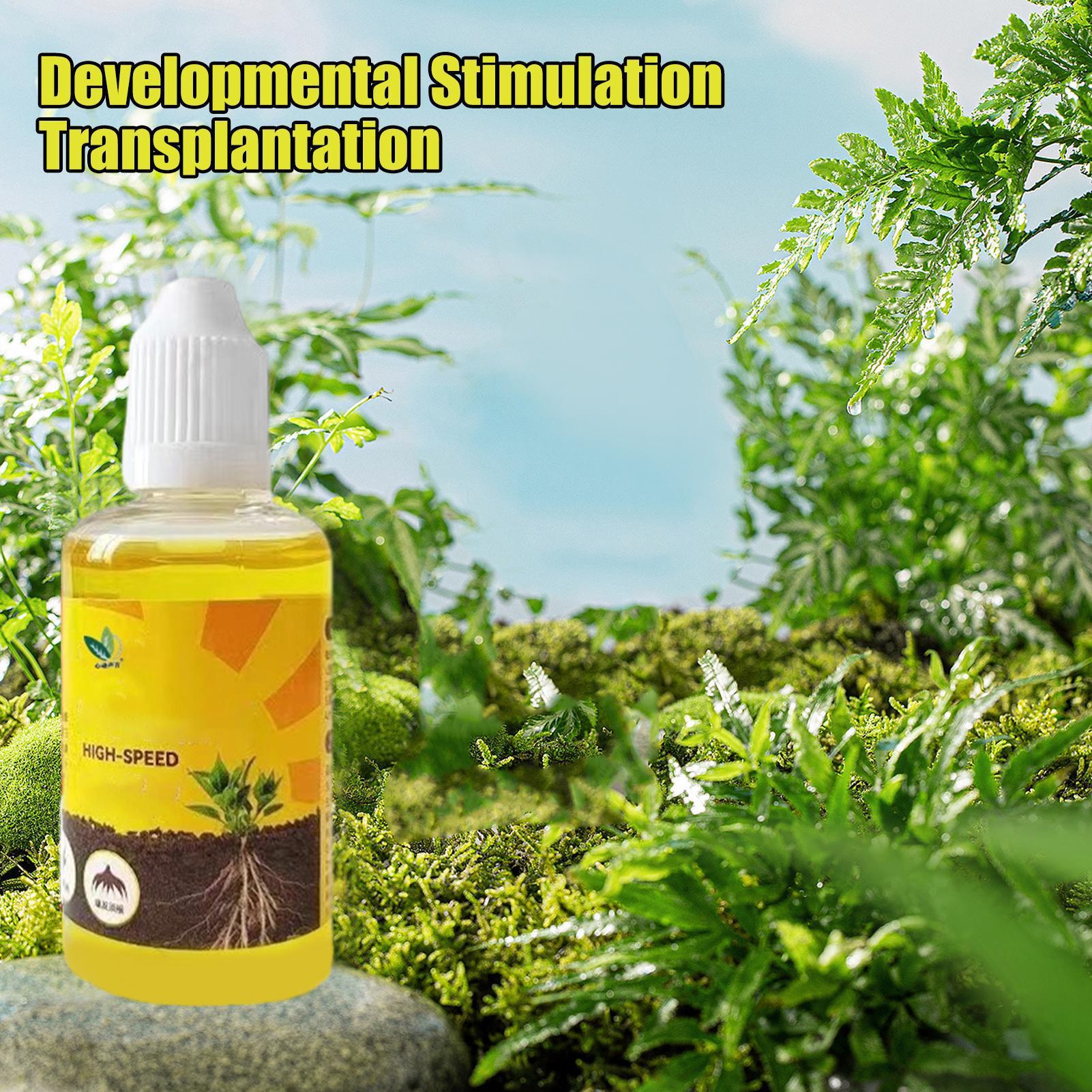 50 ミリリットル植物発根刺激剤液体植物根ブースター液体急速 - Root Stimulator Liquid のレビューと価格