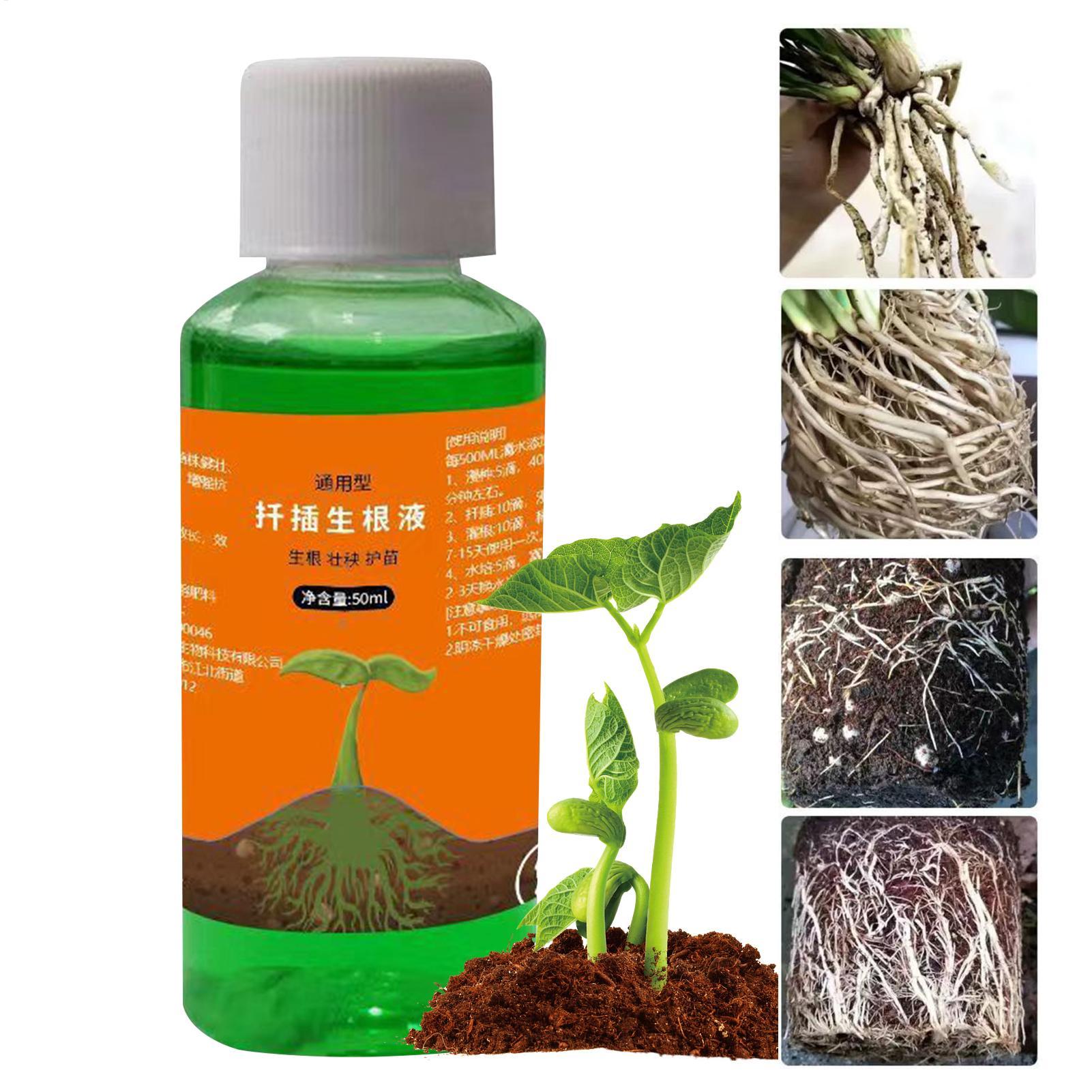 植物挿し木用高効率根刺激剤、発根促進剤、庭園植物用速根成長促 - Root Stimulator Liquid のレビューと価格