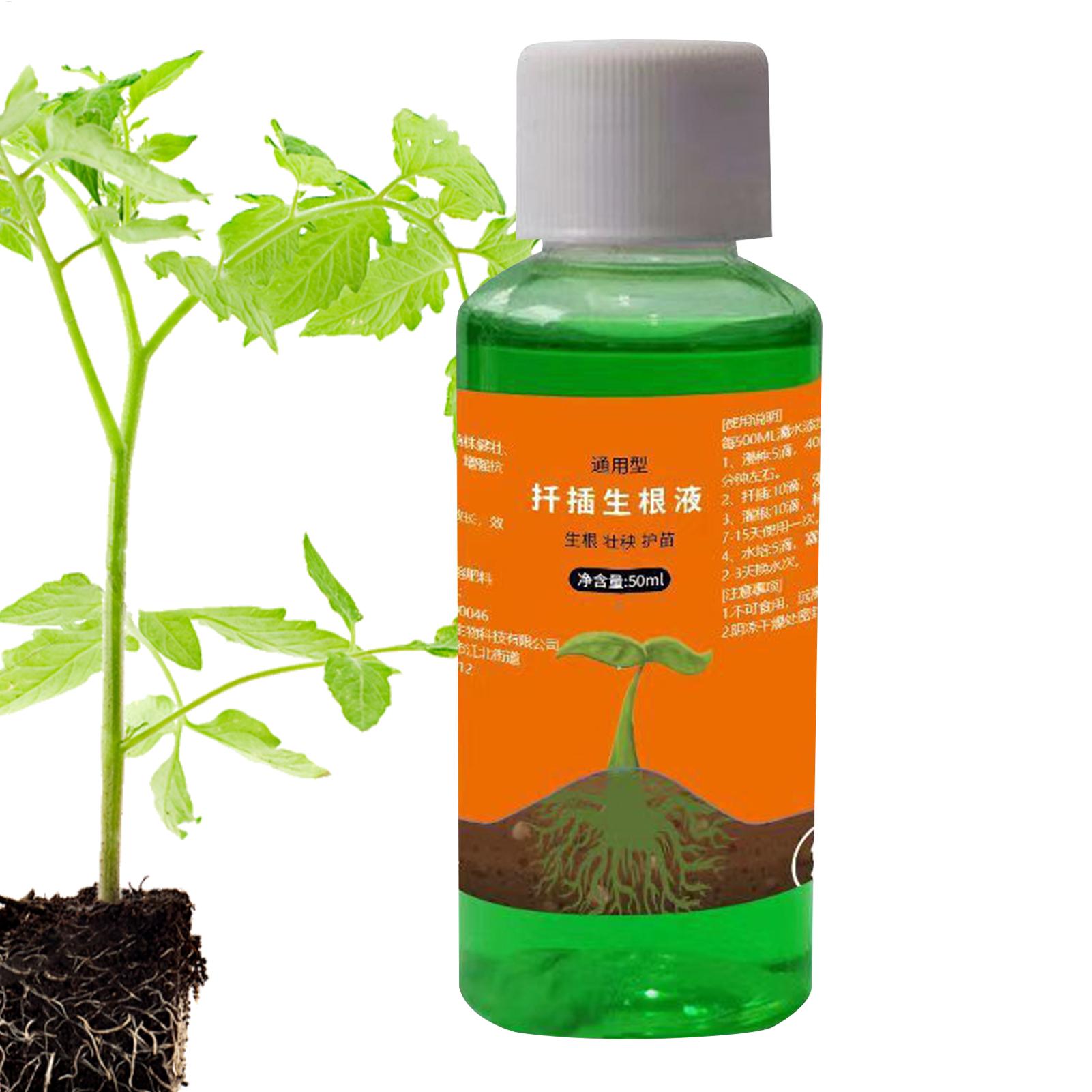 50ml移植栄養液 植物急速発根液 根刺激剤 切り花用 バラ - Root Stimulator Liquid のレビューと価格