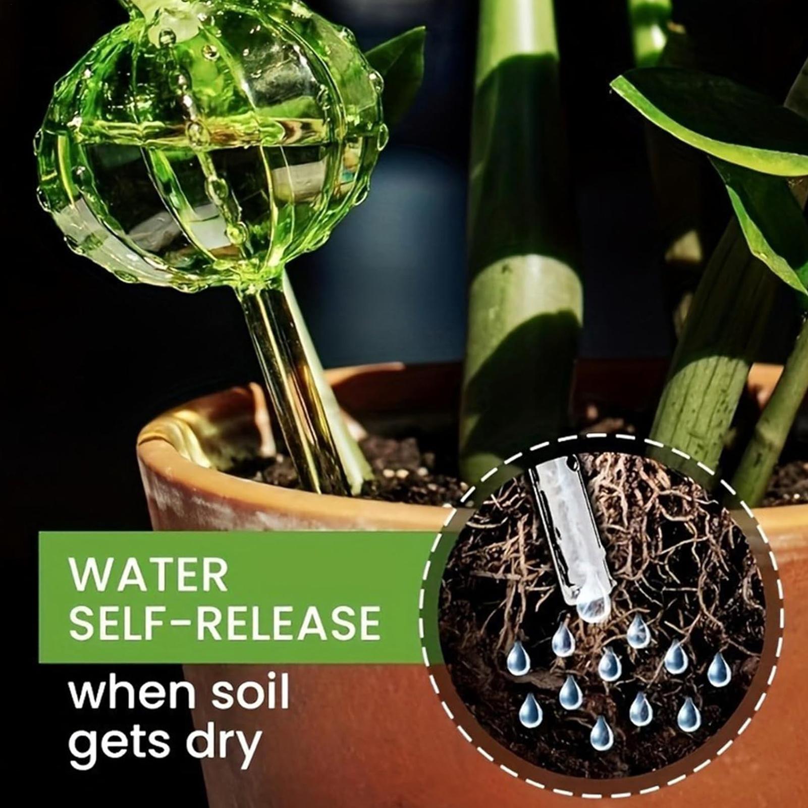 植物散水ステーク 3本セット スローリリース式 バケーション - Self Watering Insert のレビューと価格